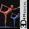 Health & Fitness - iYoga - Premium - 3D4Medical.com