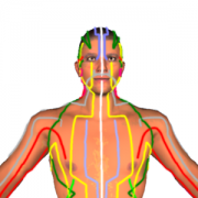 Health & Fitness - Health by Acupressure - 3D - Aayoga Navelkar