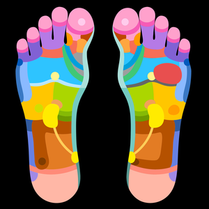 Health & Fitness - Reflexology Charts - MmpApps Corp.