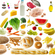 Health & Fitness - iFood Diary for iPad - iHealth Ventures LLC.