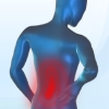 Health & Fitness - iREHAB Back Pain - IREHAB.com LLC