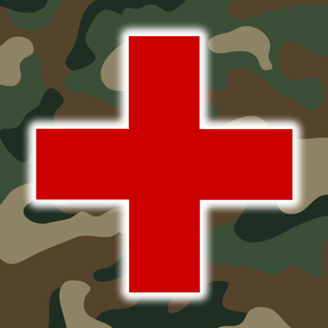 Health & Fitness - Army First Aid - Double Dog Studios