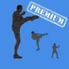 Health & Fitness - Kickboxing Workout Premium Version - Cardio interval routine to improve your fighting skills - Laurentiu Gheorghisan