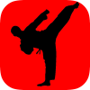 Health & Fitness - Learn Karate - Beginner's Guide - june aseo