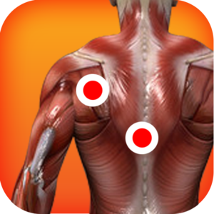 Health & Fitness - Trigger Points of Muscle - Vital Acts Inc.