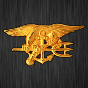 Health & Fitness - Navy SEAL Exercises with Stew Smith - Nigelware