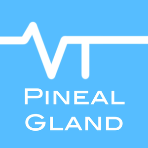 Health & Fitness - Vital Tones Pineal Gland Pro - Anakule Studios