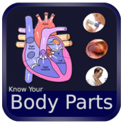 Health & Fitness - Body Parts and Functions - Egate IT Solutions Pvt Ltd