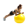 Health & Fitness - Full-Body Exercise-Ball Workout -  PRO Version - Core strength exercises with a fitness ball - Laurentiu Gheorghisan