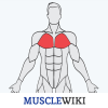 Health & Fitness - MuscleWiki Fitness - ryan watson