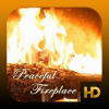 Health & Fitness - Peaceful Fireplace HD - Richard Foster