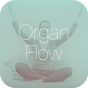 Health & Fitness - Organ Flow - Health in Life with  Organ Flow Meditation by Gabriel Stux M.D. - Till Maessen