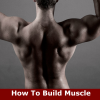 Health & Fitness - How To Build Muscle: Learn How to Build Muscle and Strength - Lim Ching Kong
