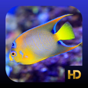 Health & Fitness - Peaceful Aquarium HD - Richard Foster