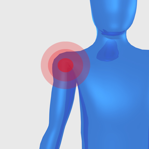 Health & Fitness - Shoulder Pain App - IREHAB.com LLC