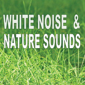 Health & Fitness - White Noise & Nature Sounds - 40 Foot Robot