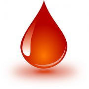 Health & Fitness - Blood Diet - Mohammed Irfan Shirur