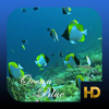 Health & Fitness - Ocean Aquarium HD - Richard Foster