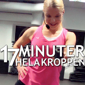 Health & Fitness - 17 minuter Hela Kroppen - Susnet AB