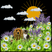 Health & Fitness - Allergy Diary - cellHigh