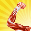 Health & Fitness - Human Muscle Encyclopedia Plus+ - Wan Fong Lam