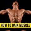 Health & Fitness - How to Gain Muscle From Basics - Learn the Tricks - sathish bc