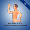 Health & Fitness - Meridian Acupoint Handbook HD - HuZhou HongDi science & technology development co.