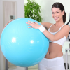 Health & Fitness - Pilates Gym Ball & Resistance Bands Workouts - Pinewood Applications