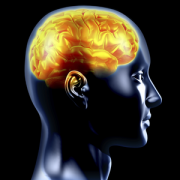 Health & Fitness - iBrainWave - Binaural Beats and White Noise - Innovator Studios LC