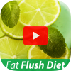 Health & Fitness - Best Fat Flush Diet Guide for Beginners - Fast & Easy Weight Loss Program Ever Found - june aseo
