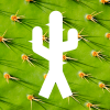 Health & Fitness - notCacti - water & posture - Whisk