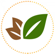 Health & Fitness - Essential Oils Reference Guide to Young Living - BitToast