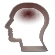 Health & Fitness - Headache & Migraine Diary - iHealth Ventures LLC.