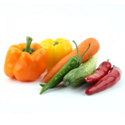 Health & Fitness - Nutrition Basics: Weight Management & Meal Planning - Training Video Apps