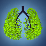 Health & Fitness - I Don't Smoke! - Easy Way To Quit Smoking! - Bestapp Studio Ltd.