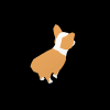 Health & Fitness - Bad Corgi - Ian Cheng