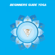 Health & Fitness - Beginners Guide Yoga+ - E-Healthcare Solutions LLC