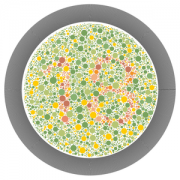 Health & Fitness - Color Vision Test Lite - Rila Software