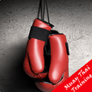 Health & Fitness - Muay Thai Training Techniques - Noel O Brien
