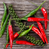 Health & Fitness - The Chili Recipes - Appz Venture