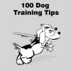 Health & Fitness - All 100 Dog Training Tips - Revolution Games