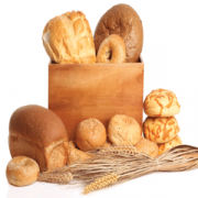 Health & Fitness - Wheat Belly Diet - Nic Patel