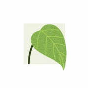 Health & Fitness - Inner Garden - Li Yang