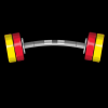 Health & Fitness - Barbell Loader and Calculator - Will Said