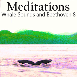 Health & Fitness - Meditations - Whale Sounds and Beethoven 8 - Ashby Navis & Tennyson Media Publisher LLC